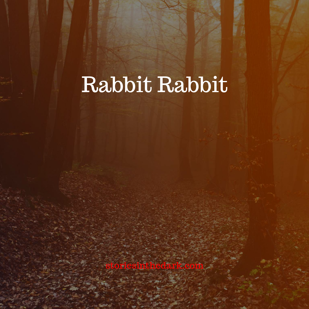 Rabbit Rabbit Rabbit Rabbit