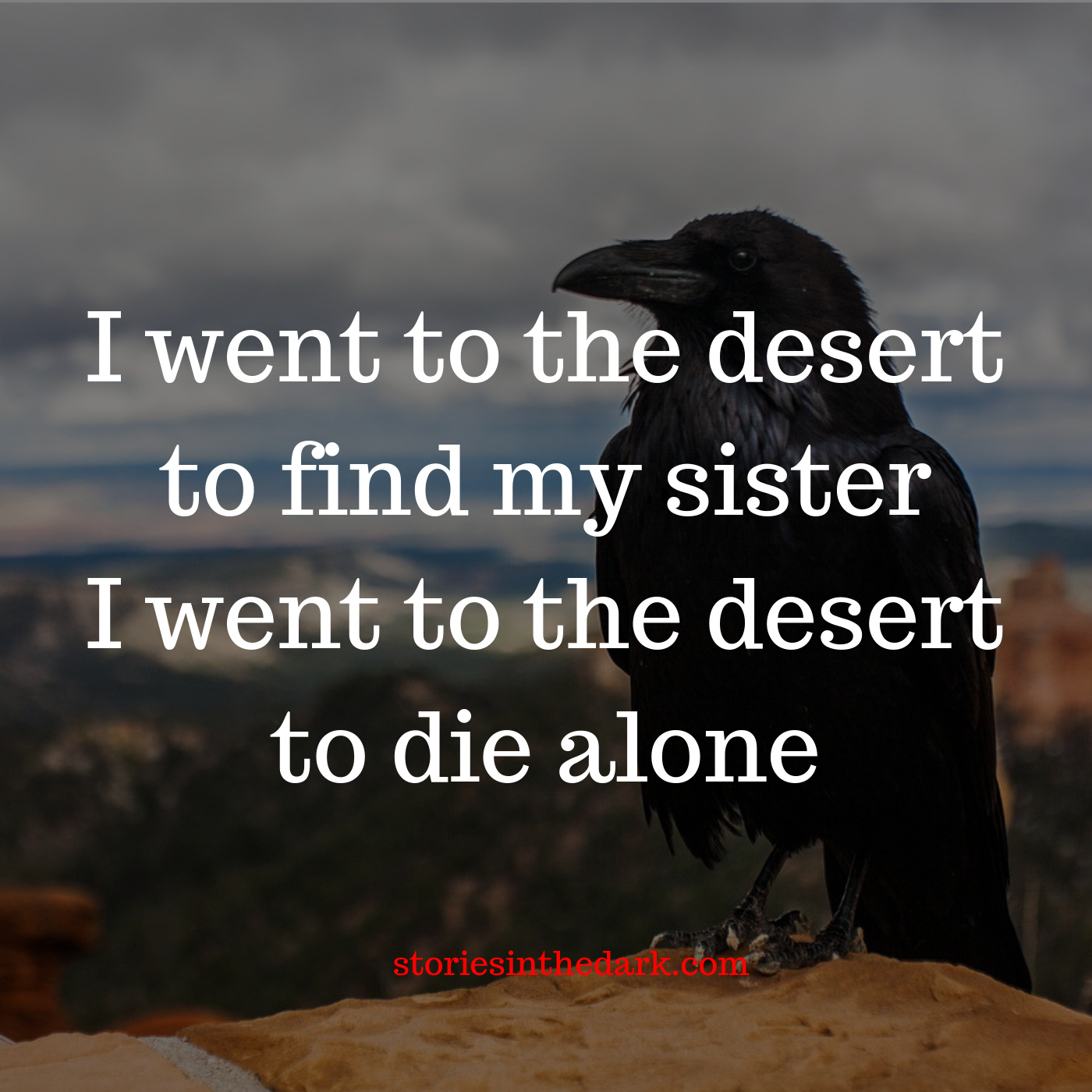Three Nights in the Desert
